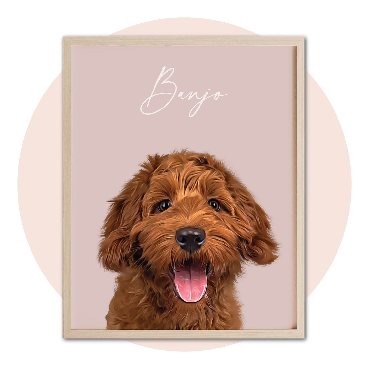 Pet Portraits